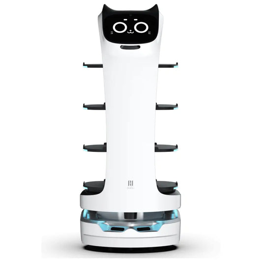 Pudu BellaBot